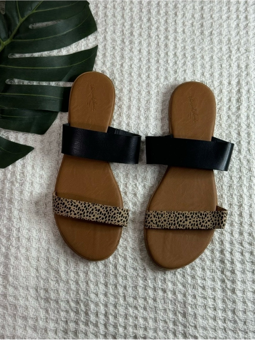 Women’s Two-Band Slide Sandals in Black and Leopard